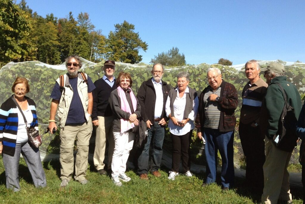 Visite de vignobles