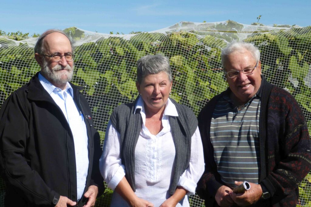 Visite de vignobles