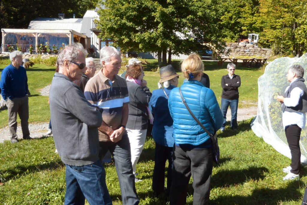 Visite de vignobles