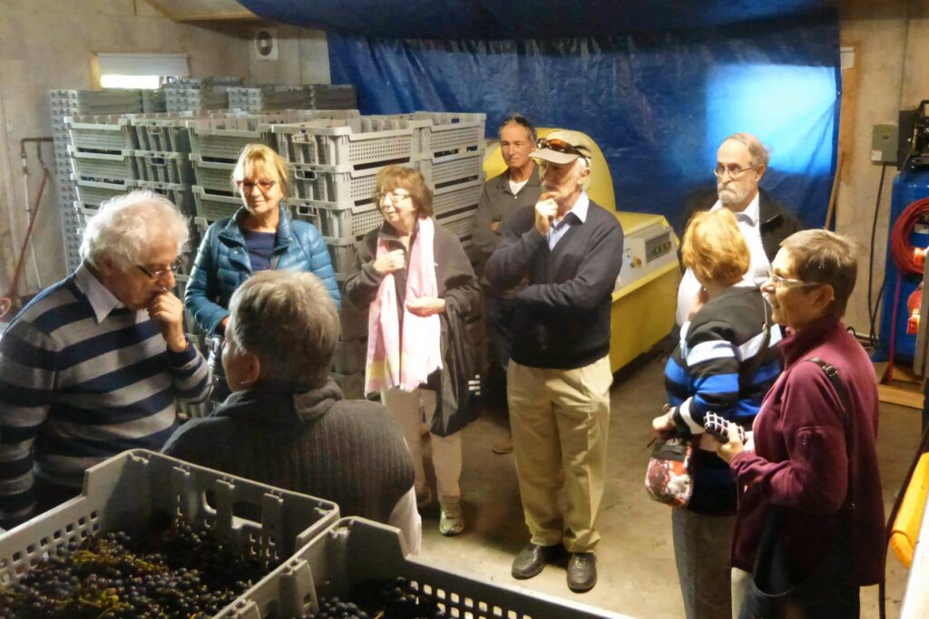 Visite de vignobles