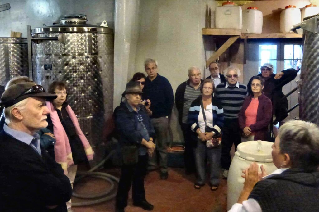 Visite de vignobles