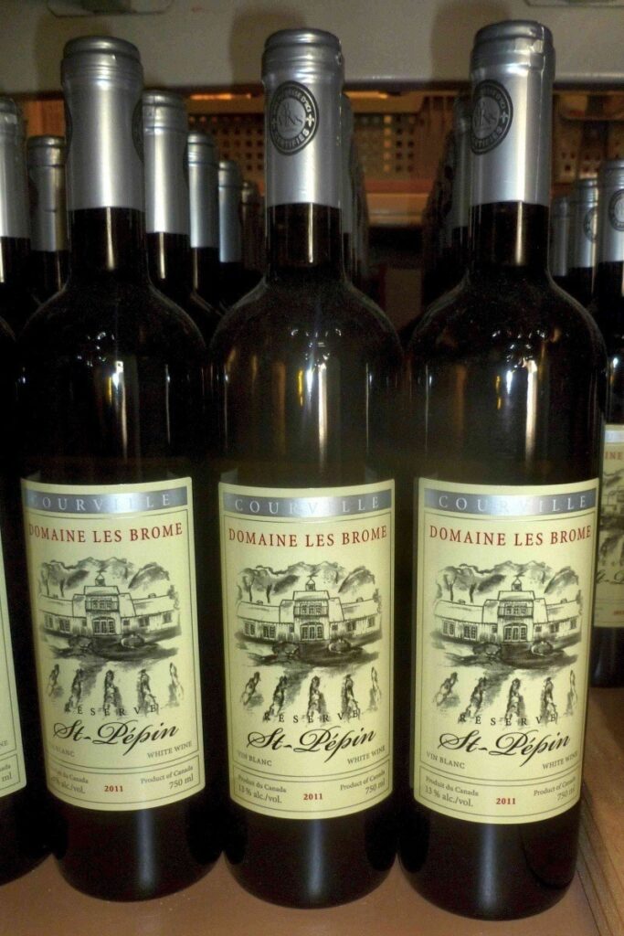 Visite de vignobles